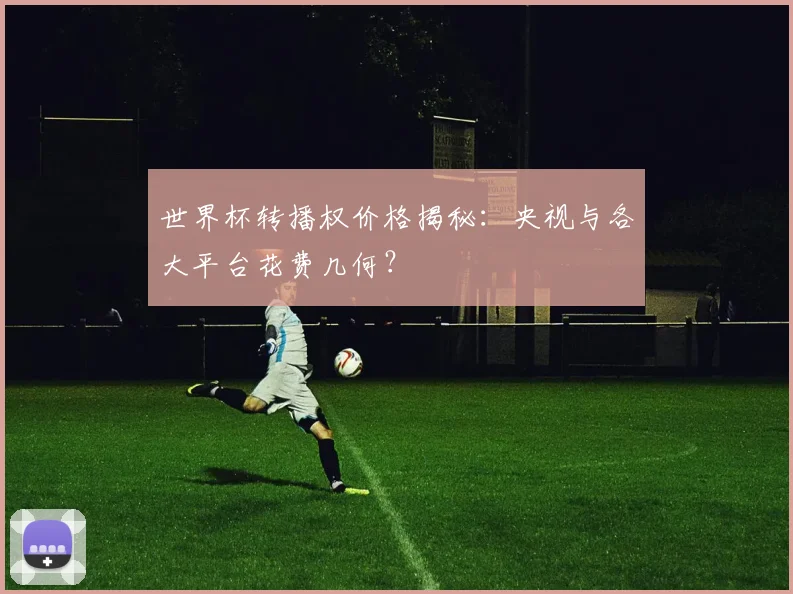 世界杯转播权价格揭秘：央视与各大平台花费几何？