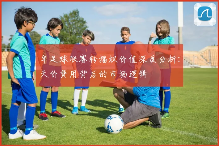 年足球联赛转播权价值深度分析：天价费用背后的市场逻辑