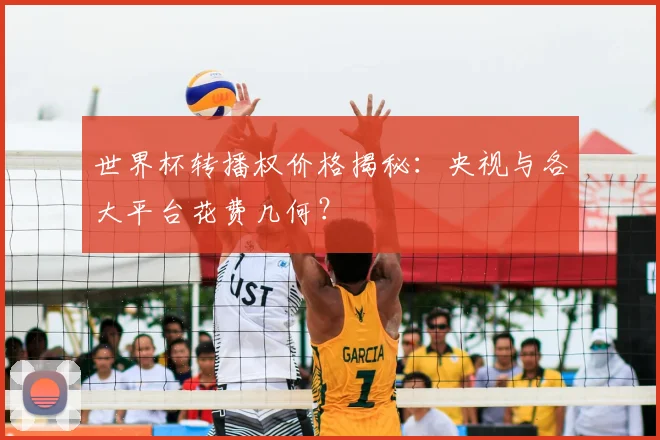 世界杯转播权价格揭秘：央视与各大平台花费几何？